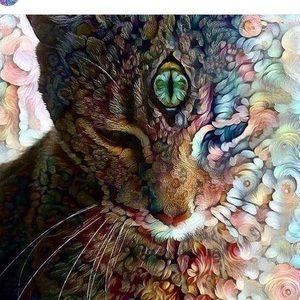 Meet your Posher, Lyssa